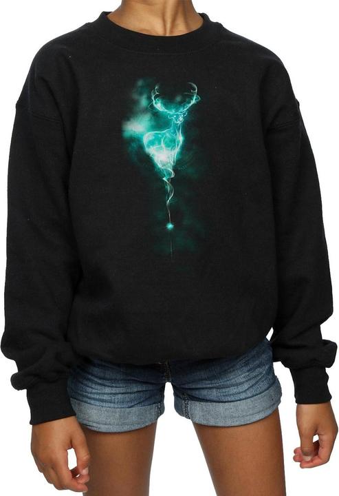 Produktbild Stag Patronus Mist Sweatshirt Mädchen (140, 146)