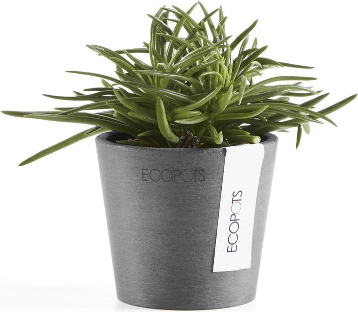 Immagine prodotto Ecopots Amsterdam Mini (8 cm)