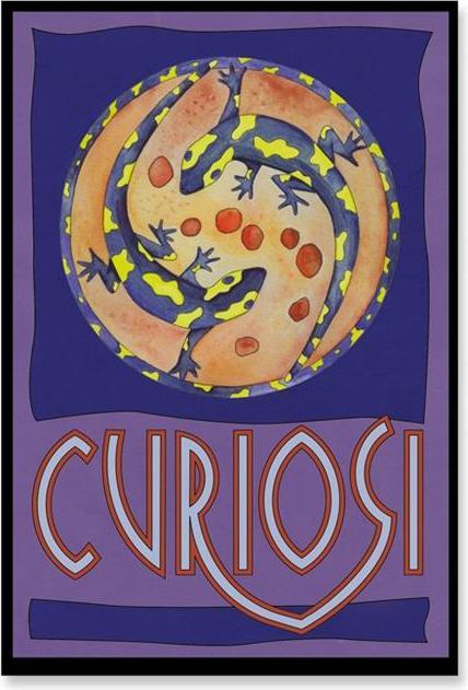 Produktbild Curiosi Picolo Puzzle Pico "Salamander" (33 Teile)