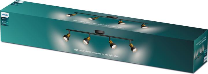 Image du produit Philips Conduit (GU10)