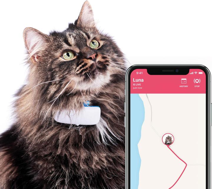 Immagine prodotto Tractive Localizzatore GPS per gatti con tracciamento dell'attività (Gatto, Passeggiare)