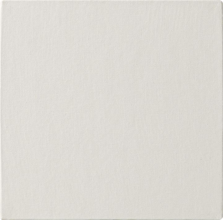 Immagine prodotto Clairefontaine Tecniche umide (660 x)
