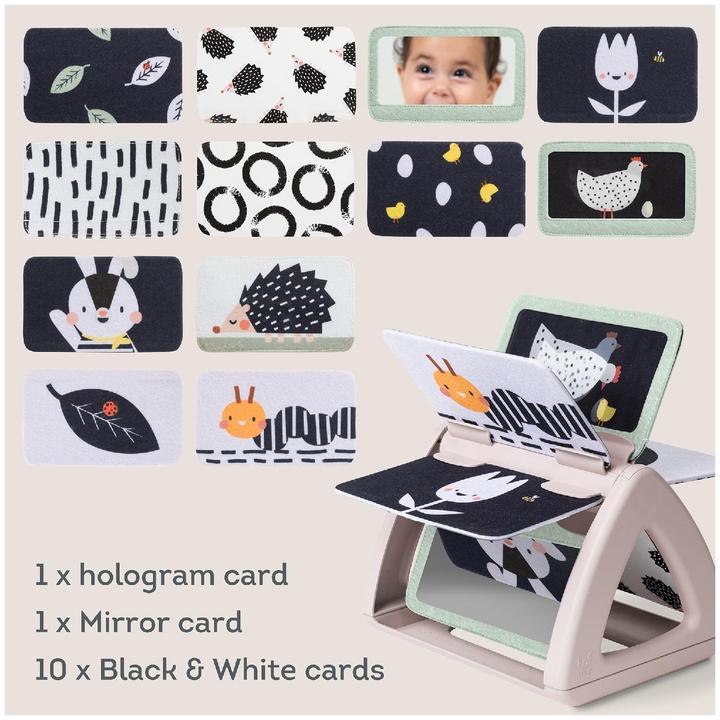 Produktbild Taf Toys Black & White (Deutsch, Französisch, Italienisch, Englisch, Schweizerdeutsch)