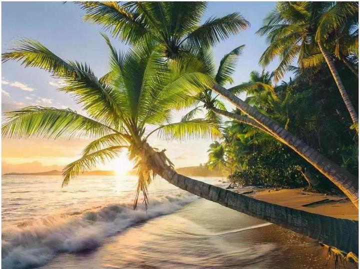 Actual product image Ravensburger Plage secrète (1500 pieces)
