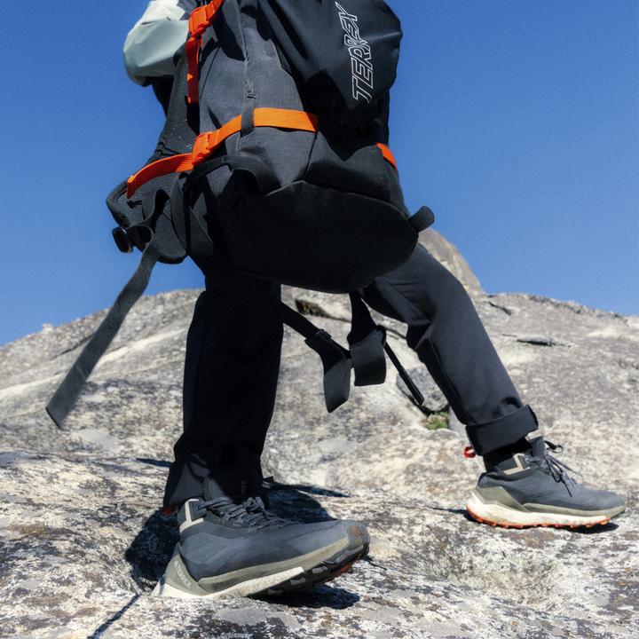 Produktbild adidas Terrex Free Hiker 2 GTX (41)