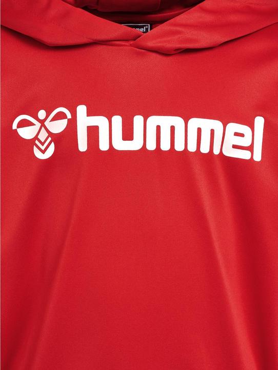 Image du produit hummel hmlLOGO HOODIE KIDS (116)