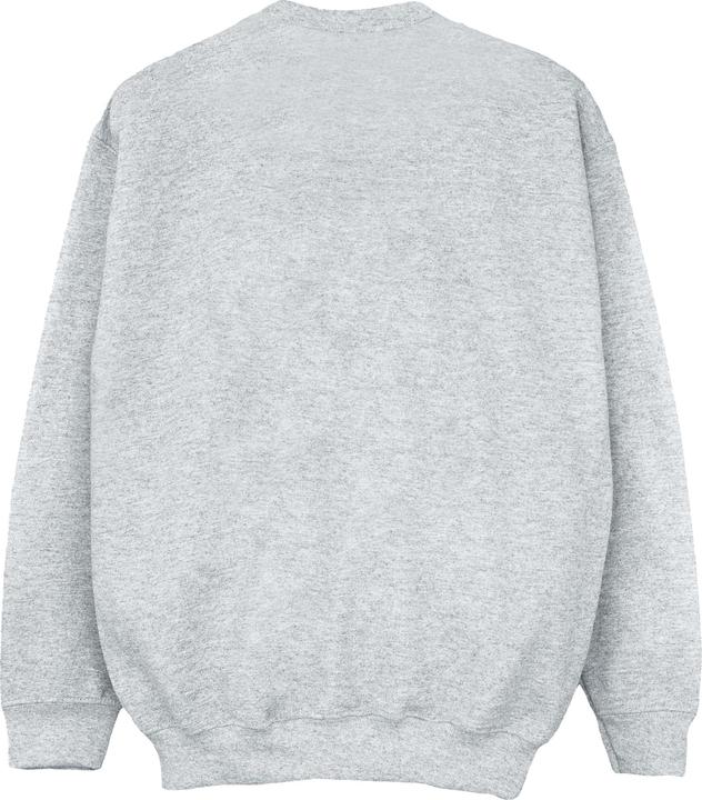 Actual product image Boys Hogwarts Crest Sweatshirt (152, 158)