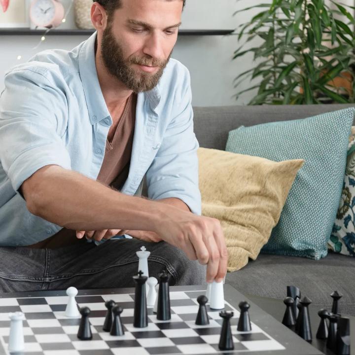 Actual product image Particula GoChess Mini