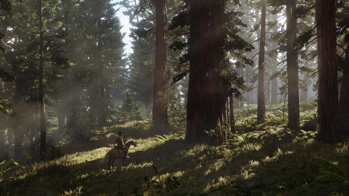 Actual product image Rockstar Red Dead Redemption 2 (PS4, EN)