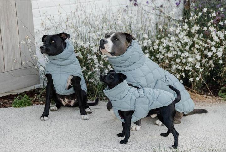 Image du produit Kentucky Horsewear manteau pour chien pina (XS, Manteau pour chien)