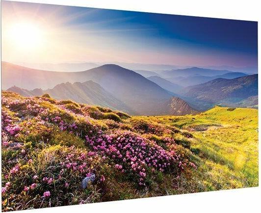 Image du produit Projecta FullVision - Manuel - 2,59 m (102 pouces) - 2,2 m - 138 cm - 16:10 - HD Progressive (102", 16:10)