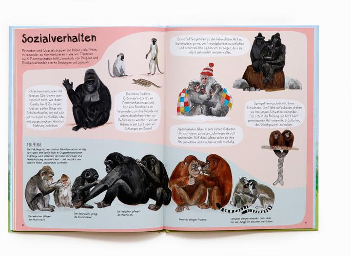 Produktbild Das Affen-Buch (Deutsch, Katie Viggers, Frederik Kugler, 2022)