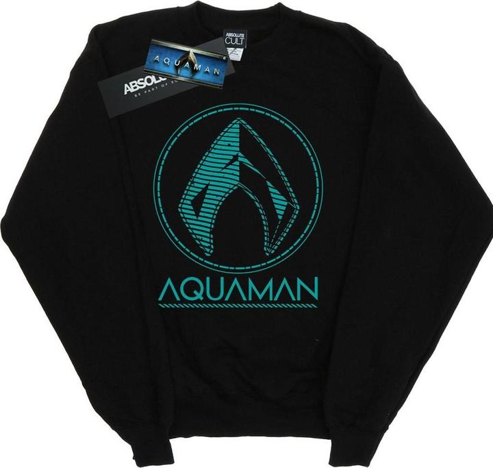 Actual product image Boys Aquaman Aqua Logo Sweatshirt (140, 146)