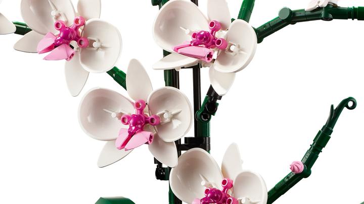 Image du produit LEGO Orchidée (10311, LEGO Botanical)