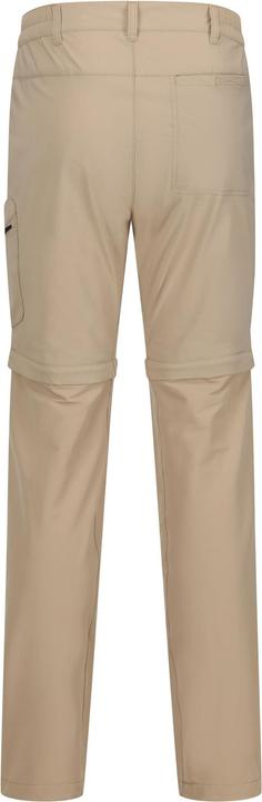 Actual product image Regatta Mens Highton Zip Off Walking Trousers (52 D)