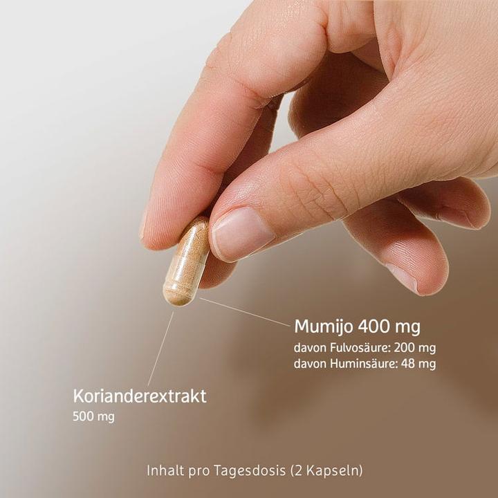 Image du produit Effective Nature Mumijo Shilajit (60 pièce(s), Capsules, 37 g)