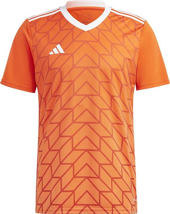adidas Team Icon 23 Trikot