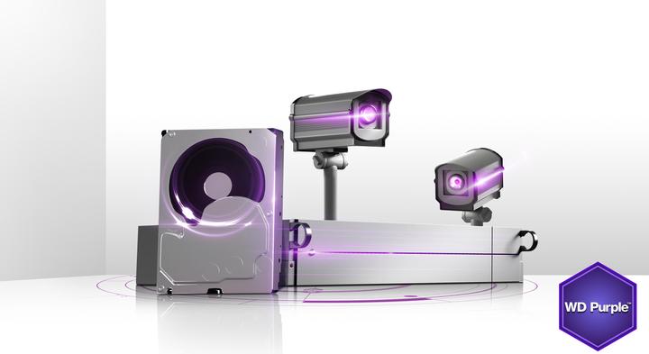 Actual product image WD Purple WD10PURX hard drive (1 TB, 3.5", CMR)