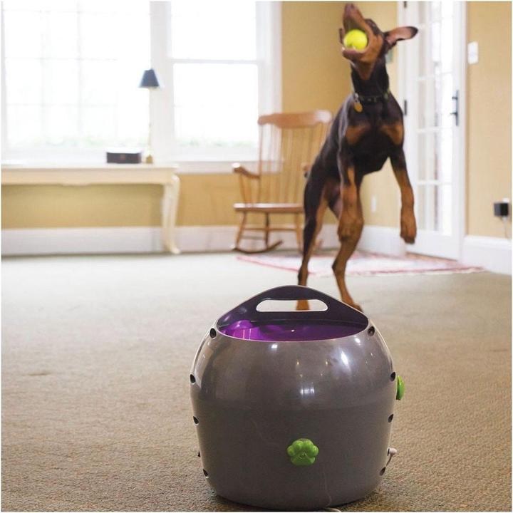 Image du produit PetSafe Lanceur de balles (Jouet à balle chien)