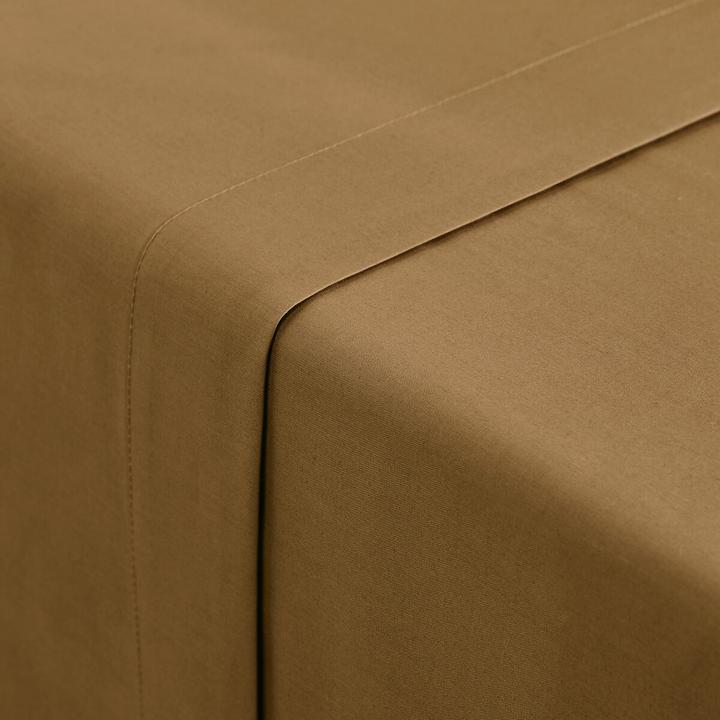 Image du produit La Redoute Interieurs Percale Bio (270 x 290 cm)