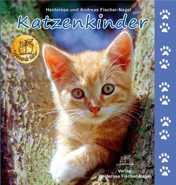 Image du produit Katzenkinder (Allemand, Andreas Fisher-Nagel, 2012)
