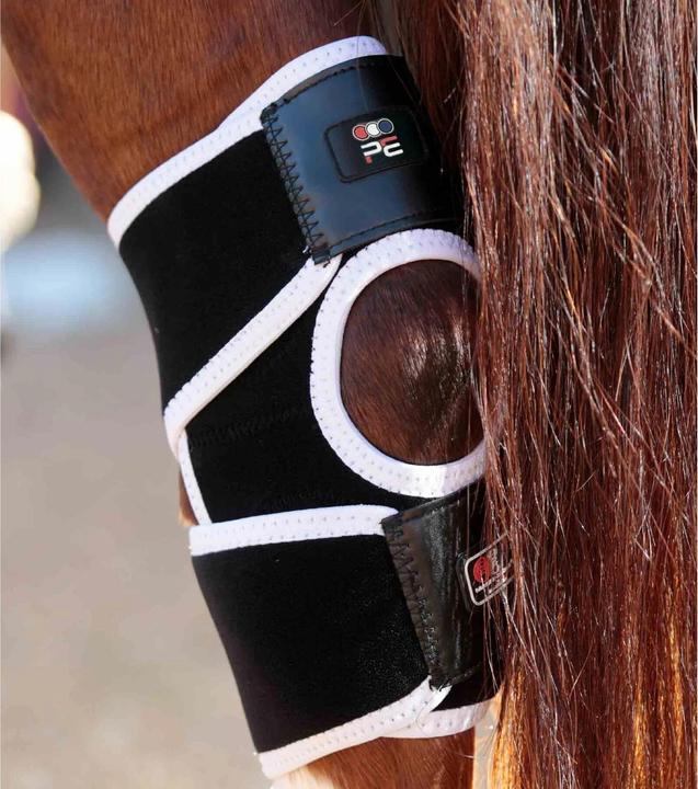 Immagine prodotto Premier Equine ginocchiere magnetiche per cavalli magni-teque