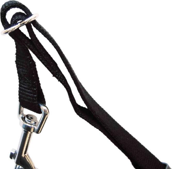 Actual product image Trixie Car harness (M, Dog, General)