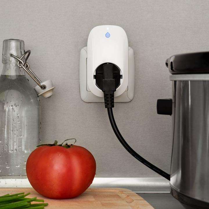 Actual product image Shelly Plug