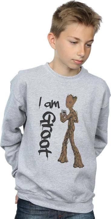 Actual product image Boys Avengers Infinity War Graffiti Groot Sweatshirt (152, 158)