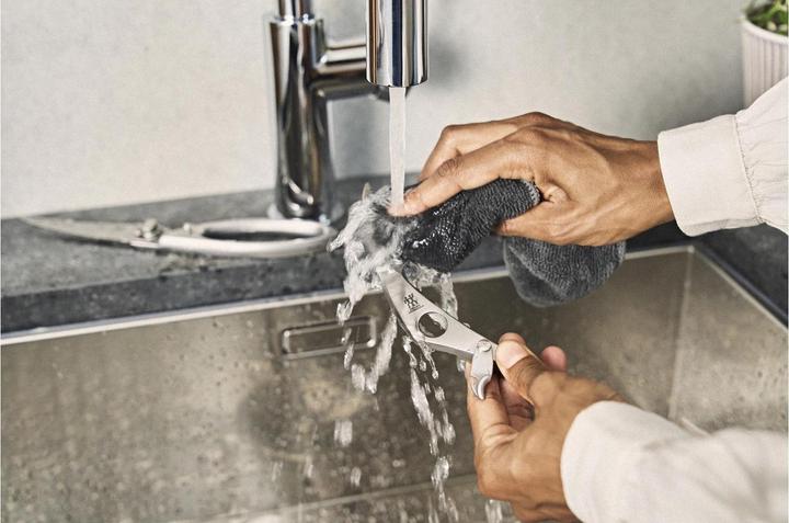 Immagine prodotto Zwilling Cesoie per pollame con chiodo da scavo (Promo 2019)