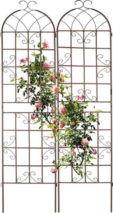 Immagine prodotto Relaxdays 2x traliccio (52 cm, 2 cm)