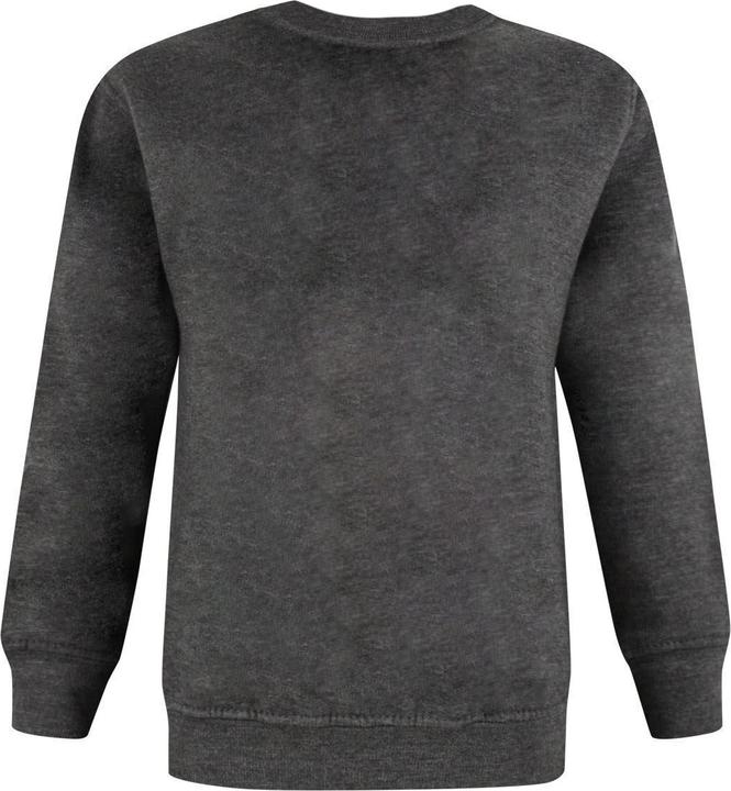 Actual product image Star Wars Boys Sweatshirt Christmas Design (104)