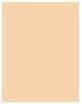Actual product image BeneFit Cosmetics Boi-ing Cakeless (3 Light Neutral)