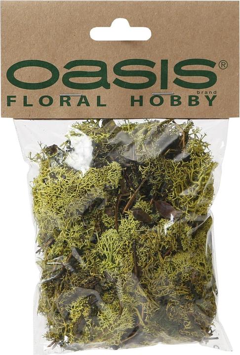 Actual product image I Am Creative Finland moss