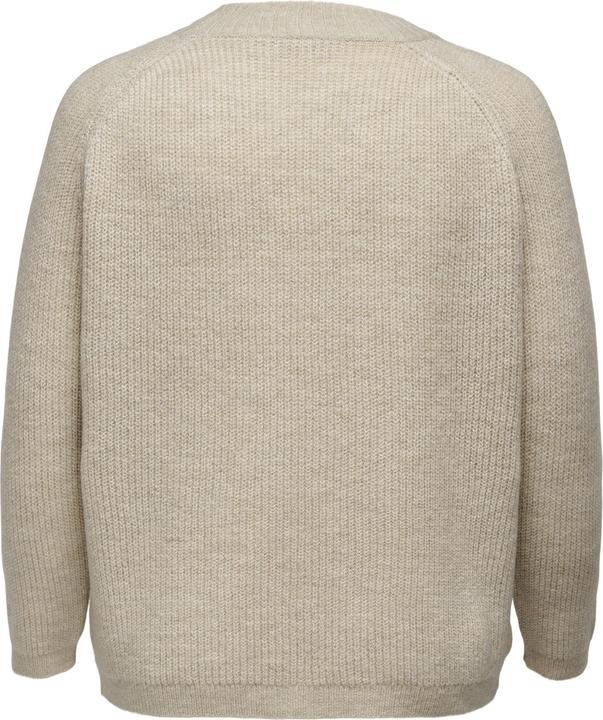 Image du produit Only Pull en maille curvy à manches longues (M)