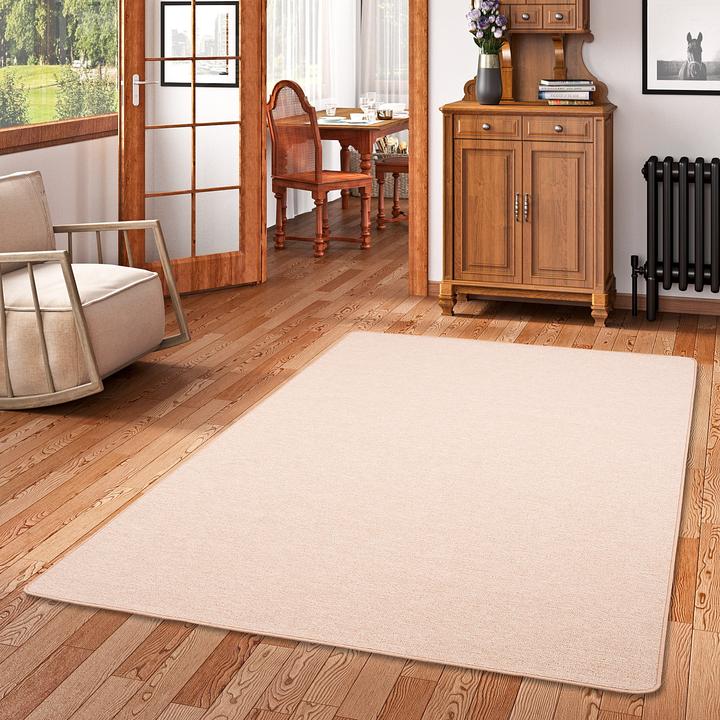 Image du produit Snapstyle Tapis en velours à boucles fines Forte (160 x 240 cm)