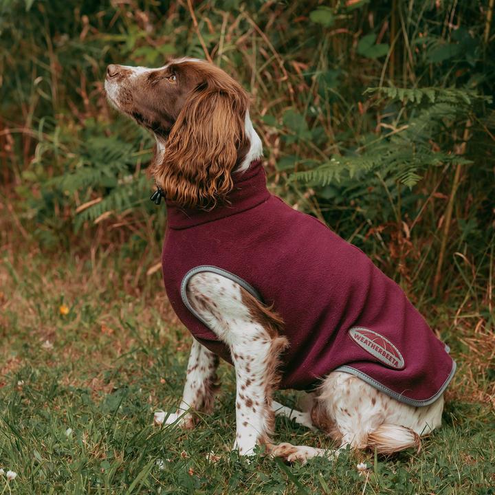Actual product image Weatherbeeta Comfitec Fleece Zipped Dog Jacket (30, Dog coat)