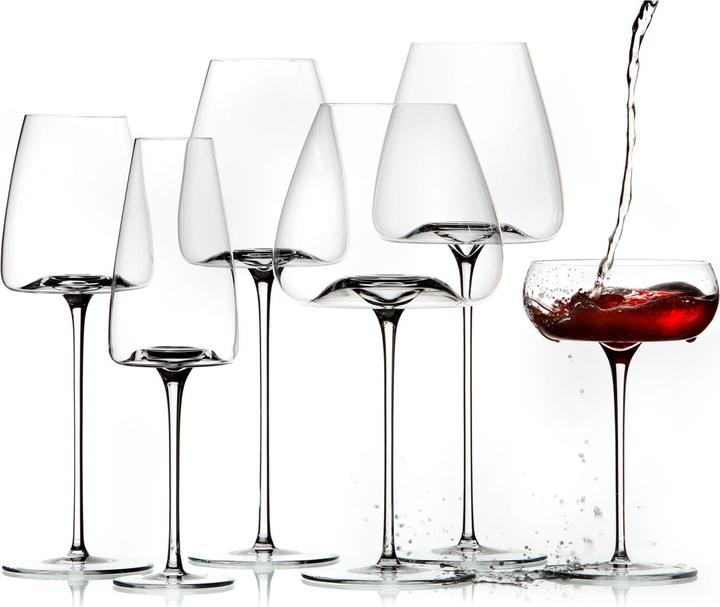 Immagine prodotto Zieher Visione equilibrata (85 cl, 2 Occhiali, Bicchieri da vino rosso)
