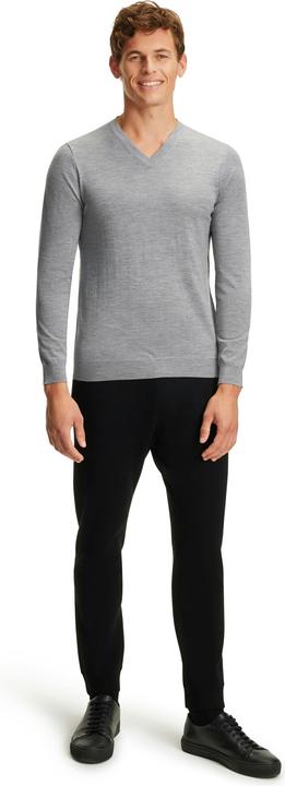 Image du produit Falke BA V-Neck m (M)