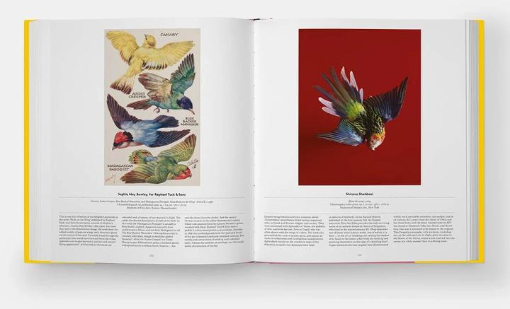 Produktbild Bird (Englisch, Katrina van Grouw, Phaidon Editors, Jen Lobo, 2021)