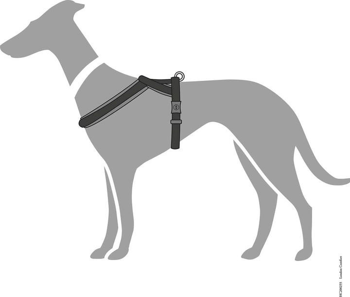 Produktbild Hunter Geschirr London Comfort, M-L, Schwarz, Hundegrösse: M, L (M, L, Hund, Allgemein)