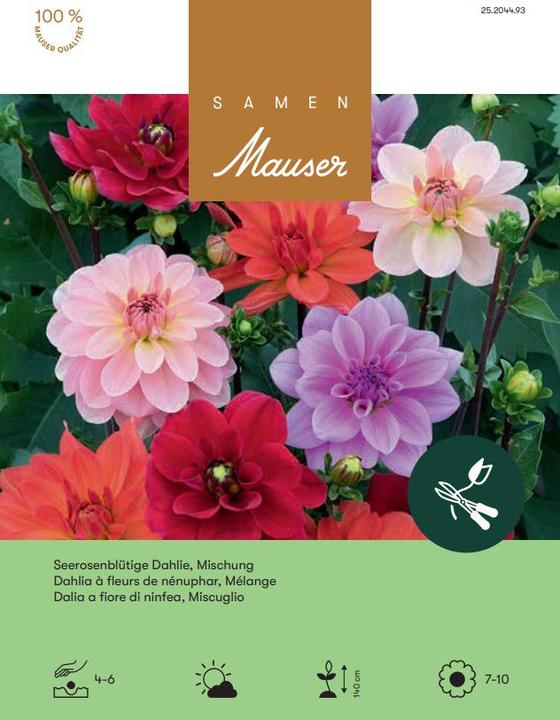 Produktbild Samen Mauser Seerosen- Mischung (Blumensamen)