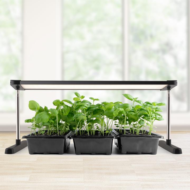 Enne Interior Plate Grow LED Grow Light, 24 W, 1700 lm, black (LED)