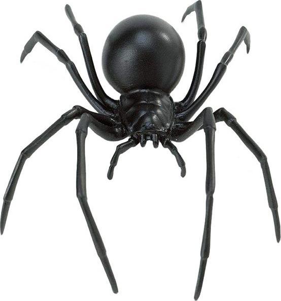 Image du produit Safari Hk Araignée Veuve Noire