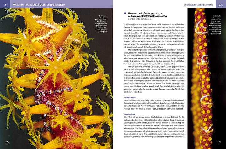 Immagine prodotto Nano-Riffaquarien (Tedesco, Daniel Knop, 2023)