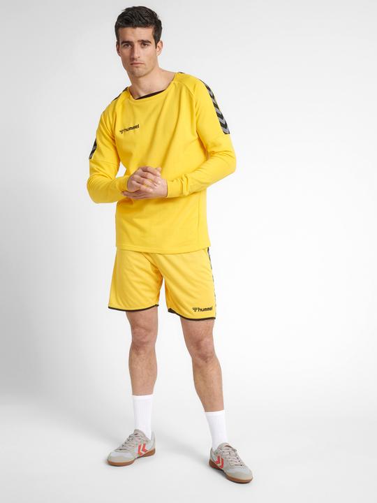 Image du produit hummel Sweat D'Entraînement Authentique (M)