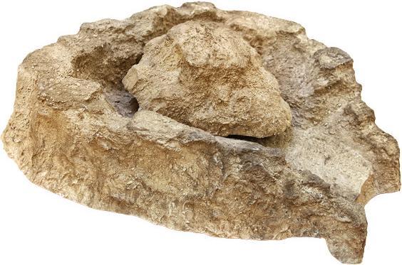 Actual product image Koi-Breeder Stream source
