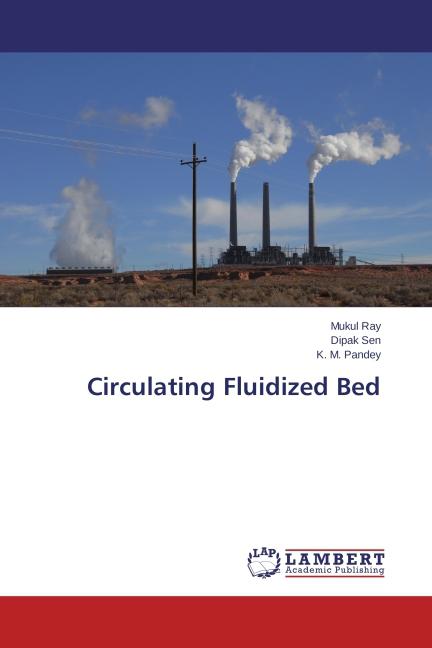 Immagine prodotto Circulating Fluidized Bed (Dipak Sen, Mukul Ray, K. M. Pandey, 2014)
