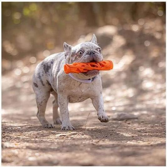 Actual product image Chuckit! Chuckit - Breathe Right Fetch Stick L 30cm - (CHUC32215) (Litter toy dog)