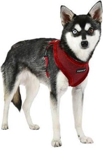 Image du produit Puppia Harnais Puppytooth Rouge XL (XL, Chien)